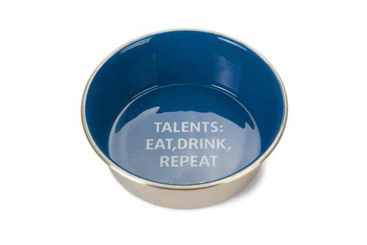 Beeztees Talents Dog Bowl