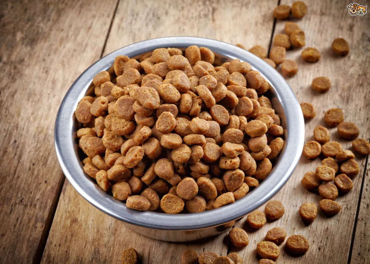 Dog Dry Foods