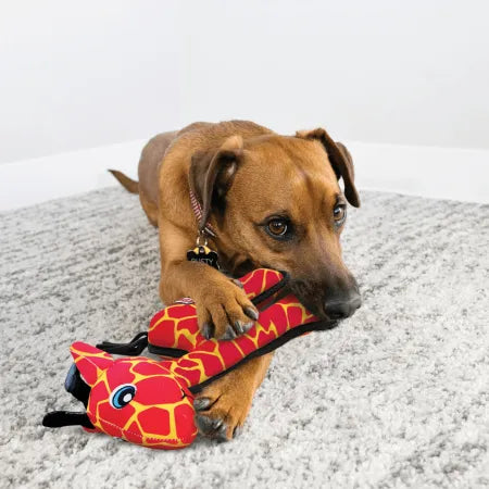 KONG Ballistic Giraffe Plush Dog Toy (32cm)