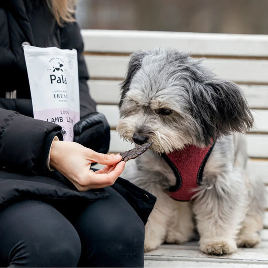 Pala Treats 100% Lamb Liver