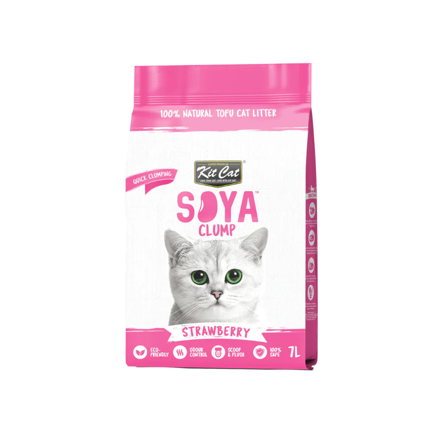 Soy cat shops litter