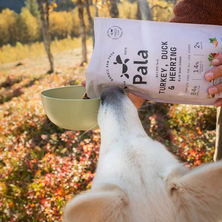 PALA RAW DOG FOOD, Turkey, Duck & Herring, 100% Natural Air-Dried Complete Food for Dogs