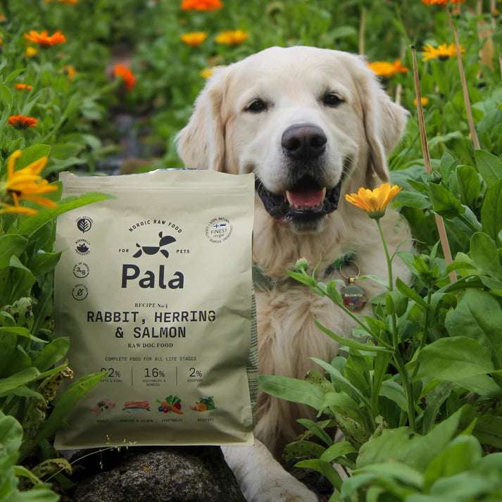 PALA RAW DOG FOOD, Rabbit, Herring & Salmon, 100% Natural Air-Dried Complete Food for Dogs