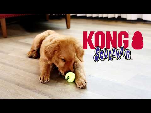 Juguete para Perros KONG Squeakair – Pelota de Tenis con Sonido para Diversión Sin Fin