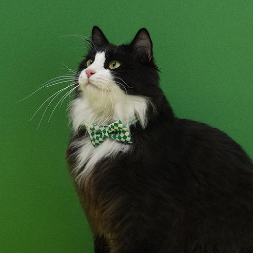 ZEZE Adjustable Bow Tie for Cats and Dogs (18x30cm)