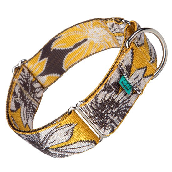 Arppe Greyhound Collar - Okidogi.store