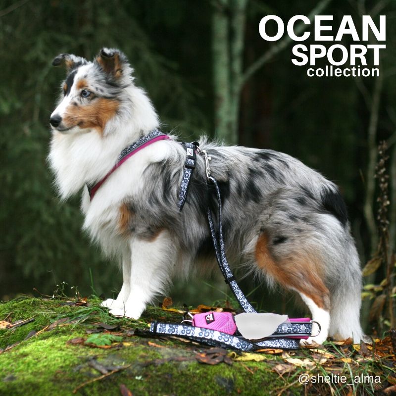 Finnero Ocean Sport City Leash 120cm - Okidogi.store