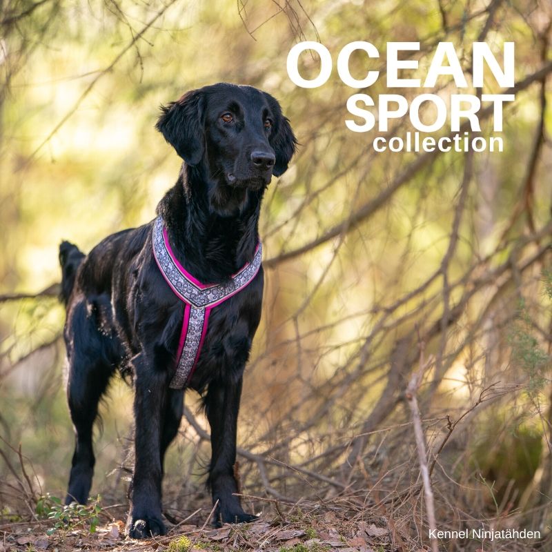 Finnero Ocean Sport Y-Harness - Okidogi.store