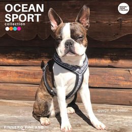 Finnero Ocean Sport Y-Harness - Okidogi.store