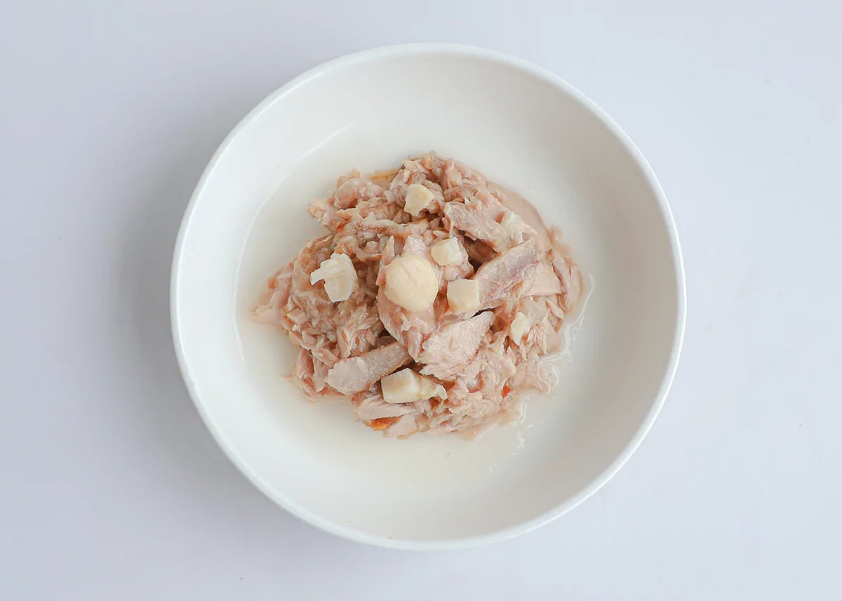 Kit Cat Deboned Tuna with Scallops 80g - Wet food in Jelly - Okidogi.store