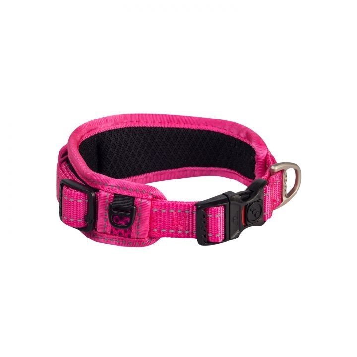 Rogz best sale martingale collar