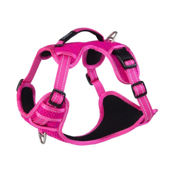 Rogz best sale dog harness